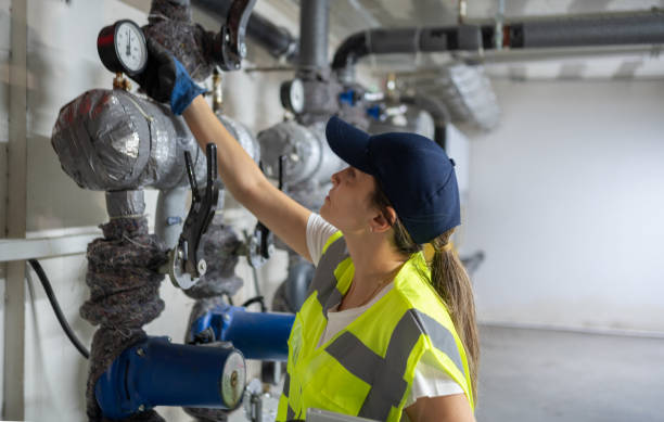 Best Clogged Drain Plumber  in Alton, IA